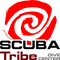 SCUBA Tribe DIVE CENTER
